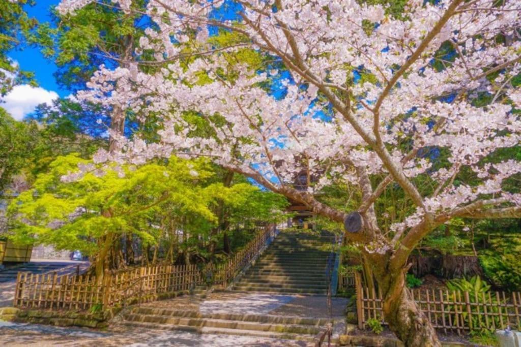 Вілла 甘糟屋敷 Amakasu Yashiki Камакура Екстер'єр фото