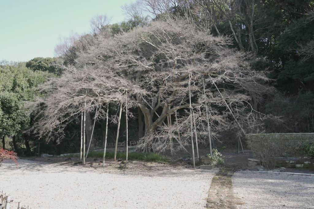 Вілла 甘糟屋敷 Amakasu Yashiki Камакура Екстер'єр фото
