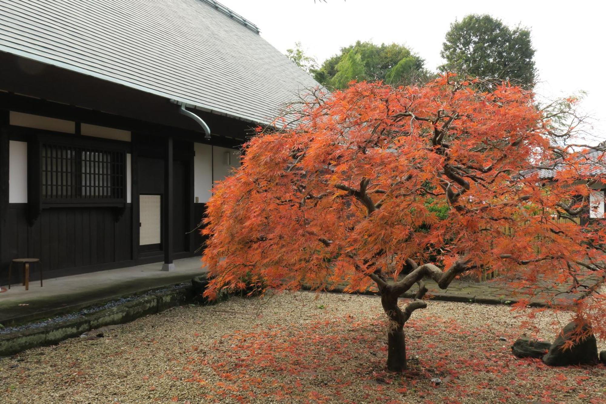 Вілла 甘糟屋敷 Amakasu Yashiki Камакура Екстер'єр фото